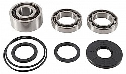 ALL BALLS RACING 25-2108 Differential Bearing and Seal Kit - Front RZR XP 1000 (2017) / TURBO (2016)