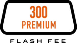 ECUTEK Flash Fee Premium 300 Flash Points