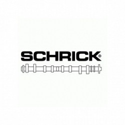 SCHRICK 389 A1 521-00 GOLF 4 V6. 252/110 выпуск