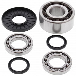 ALL BALLS RACING 25-2075 Differential Kit RZR XP 1000