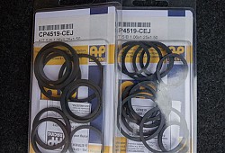 AP RACING CP4519-CEJ Caliper Rebuild Kit CP5555 (1,06x1,25x1,50)