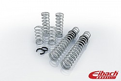 Eibach E85-209-001-02-22 Stage 2 Performance Spring System (Set of 8 Springs) RZR XP 1000 2014-16