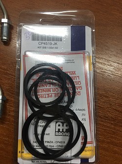 AP RACING CP4519-JK Рем комплект суппорта CP5200-807S4