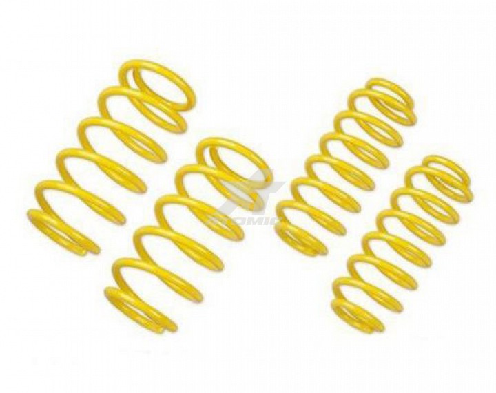 ST 28291003 springs 30/30 DACIA . Duster 2WD